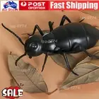 Remote Control Mock Fake Cockroach Insects Infrared Rc Toy Prank Roach Kid Gift↯