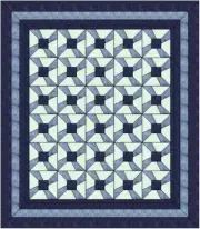 Precut Quilt Kit , Formal Garden, Elegance in Simplicity 84x 96