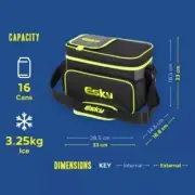 Esky 16 Can Hybrid Cooler With Ice Brick LUNCH BOX BAG CAMPING CAR HOME FOOD