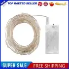 3M Copper Wire String Lights PVC LED Fairy Lights for Bobo Balloon (Blue Light)
