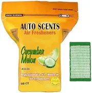 Professional Air Freshener - Remove the Worst Smells With These Heavy Duty Pads (60 per Pack) (Cucumber Melon)