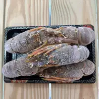 在飛比找蝦皮購物優惠-『富洋生鮮』葉門生凍青殼龍蝦100/150  5隻/盒