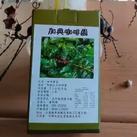 在飛比找台灣好農優惠-加典-咖啡葉茶