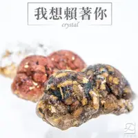 在飛比找蝦皮購物優惠-【彤恩時尚】水晶 法鬥 幼犬 M號《招財 守護》虎眼石 太陽