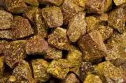2 lbs Script Jasper / Sea Fossil Rough Stones - Natural Crystal Mineral Rock