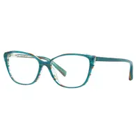 在飛比找PChome24h購物優惠-alain mikli 法式絢彩網點線條時尚光學眼鏡(湖水綠