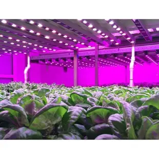 【全光譜78LED植物燈多種規格E27植物燈泡50WLED植物燈補光燈夾燈植物生長燈