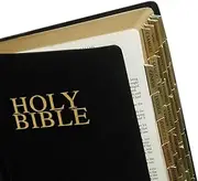 Bible Tabs - Solid Gold - Old & New Inc Catholic Books: Bible Indexing Tabs