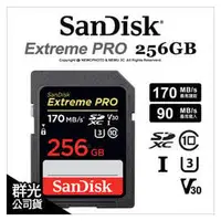 在飛比找PChome商店街優惠-【台灣公司貨】Sandisk Extreme Pro SDX