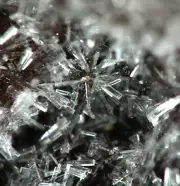 Minyulite Crystals Tom's Quarry. Sth Australia. (EA9950) rare phosphates
