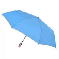 在飛比找PChome24h購物優惠-【2mm】清新淡雅通勤自動開收傘 (藍色)