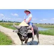 Save 5.00%! Discover The Hoi An Countryside