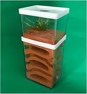 Ant Farm Ecological Ant Nest Farm Plaster Ant Castle Ant Formicarium Transparent Habitat Ant House Box Ant Workshop Kit Ant Feeding Villa for Kids & Adults Science Experiment (Color : A)