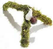 Begeterday Pet Snail Climbing Toys, Ideal Snail Terrarium Accessories, Perfect for Pet Snails that Like to Climb