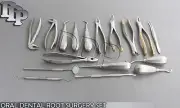 17 PCS ORAL DENTAL ROOT SURGERY EXTRACTING ELEVATORS FORCEPS INSTRUMENTS DN-557