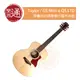 【樂器通】 Taylor / GS Mini-e QS LTD 限量36吋面單旅行電木吉他