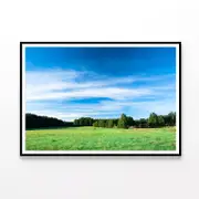 Tranquil Grassland at Sunrise Print 100% Australian Made 90x60cm (Poster)