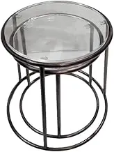 ORNATE INTERNATIONAL Stainless Steel Coffee Table Set of 2, Round Coffee TableAcralic Top with Adjustable Non-Slip Feet, Industrial End Table Side Tables for Living Room Bedroom Balcony Yard