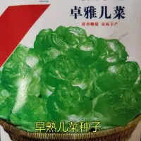 在飛比找蝦皮購物優惠-種子 貴州特產兒菜種籽抱仔芥菜早熟娃娃多心菜寶寶菜四季播種蔬