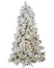 Sterling Tree Company 7.5ft Heavily Flocked Northern Pine With 750 Clear Lights And 85 G40 Warm White Led Lights