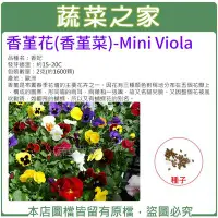 在飛比找Yahoo!奇摩拍賣優惠-【蔬菜之家00H45】大包裝.香堇花種子2克(約1600顆)