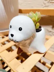 Cute Seal Animal Ceramic Porcelain Succulent Cactus Flower Planter Pot