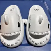 Shark Slides 9.5-10 (42/43)