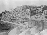 Wheat Stacks with Mouse Guards in Railway Station Yard Underbool V- Old Photo