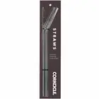 Corkcicle Tumbler Reusable Stainless Steel Straws Cleaning Brush Gunmetal Black