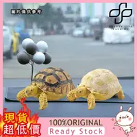 在飛比找蝦皮購物優惠-[媽咪寶貝] 仿真海洋動物模型烏龜模型蘇卡達加拉帕戈斯象龜靜