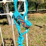 Turquoise Aztec Beaded Mule Tape Halter 9ft Lead