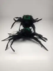 Halloween Spider Table Top Decor Plush Spooky Scary Fun Bendable Limbs 3 Pack