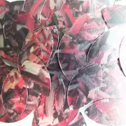 Sequin Navette Leaf 1.5" Red Silver Bird Feathers Print Metallic