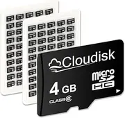 Cloudisk Pack of 100 Micro SD Card 4GB Flash Memory Card C6 Micro SDHC (4GB)