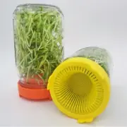 Growing Bean Indoor Sprouting Lid 86mm Wide Mouth Jar Screen Sprouting Strainer