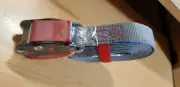Gripwell 25mm x 4m 250Kg Cambuckle Tie Down With Paddle
