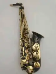 Popular Saxophone Alto Sax Instrument with Case