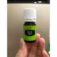 在飛比找蝦皮購物優惠-Young Living 悠樂芳 昆士亞精油