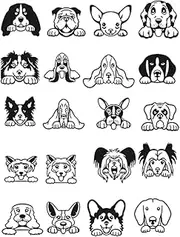 Semi-Permanent Tattoo,Dog HC-BB-870,Dog Tattoos,Resilience,Real Tattoo Look,Water-Resistant,Lasts 1-2 Weeks,18 x 11 cm