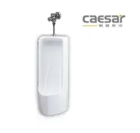 在飛比找Yahoo!奇摩拍賣優惠-【阿貴不貴屋】Caesar 凱撒衛浴 U0296 / BF4