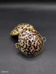 Set of 2 X coin purse sea shell. Spotted tiger cowrie Sea shell. Beach kitch