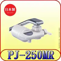 在飛比找Yahoo!奇摩拍賣優惠-《三禾影》Panasonic 國際 台灣公司貨 PJ-250