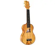 Eddy Finn Concert Uke Spalted Maple 24C
