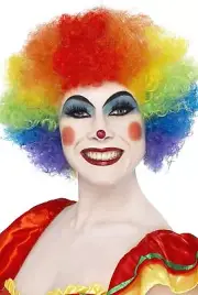 Crazy Clown Wig