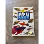 淡水缸魚類圖鑑：從設置水族缸到選擇完美魚類的完整百科！