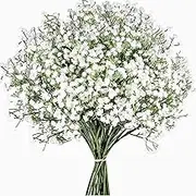 (Baby Breath Gypsophila) - 12 Pcs Babys Breath Artificial Flowers,LYLYFAN Gypsophila Real Touch Flowers for Wedding Party Home Garden Decoration