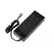 VSETT 10+ Charger