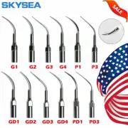 Dental Puntas del escarificador ultrasónico for EMS/DTE SATELEC pieza de mano GP