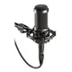 ::bonJOIE:: 美國進口 鐵三角 Audio-Technica AT2035 麥克風 (全新盒裝) Large Diaphragm Studio Condenser Microphone MIC