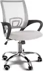 Ergonomic Office Chair with Breathable Mesh Design and Lumbar Back Support, 360